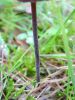 DSC01361.jpg