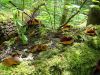DSC01975.jpg