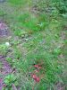 DSC04214.jpg