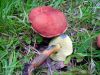 DSC04232.jpg