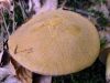 DSC05439.jpg