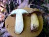 DSC05440.jpg