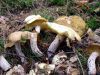 DSC05813.jpg