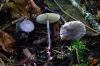 DSC05012.jpg