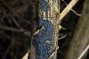 DSC00789.jpg