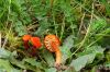 Dateiname=DSC05624.jpg
Dateigröße=524KB
Abmessungen: 1200x800
hinzugefügt am: 22. September 2014 DSC05624.jpg