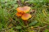 Dateiname=DSC05626.jpg
Dateigröße=543KB
Abmessungen: 1200x800
hinzugefügt am: 22. September 2014 DSC05626.jpg