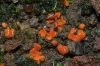 Dateiname=DSC05646.jpg
Dateigröße=633KB
Abmessungen: 1200x800
hinzugefügt am: 27. September 2014 DSC05646.jpg