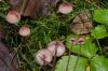 Dateiname=DSC05967.jpg
Dateigröße=492KB
Abmessungen: 1200x800
hinzugefügt am: 25. Oktober 2014 DSC05967.jpg