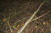 DSC07370.jpg